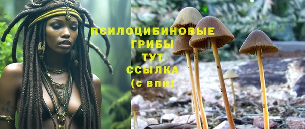 героин Гусев